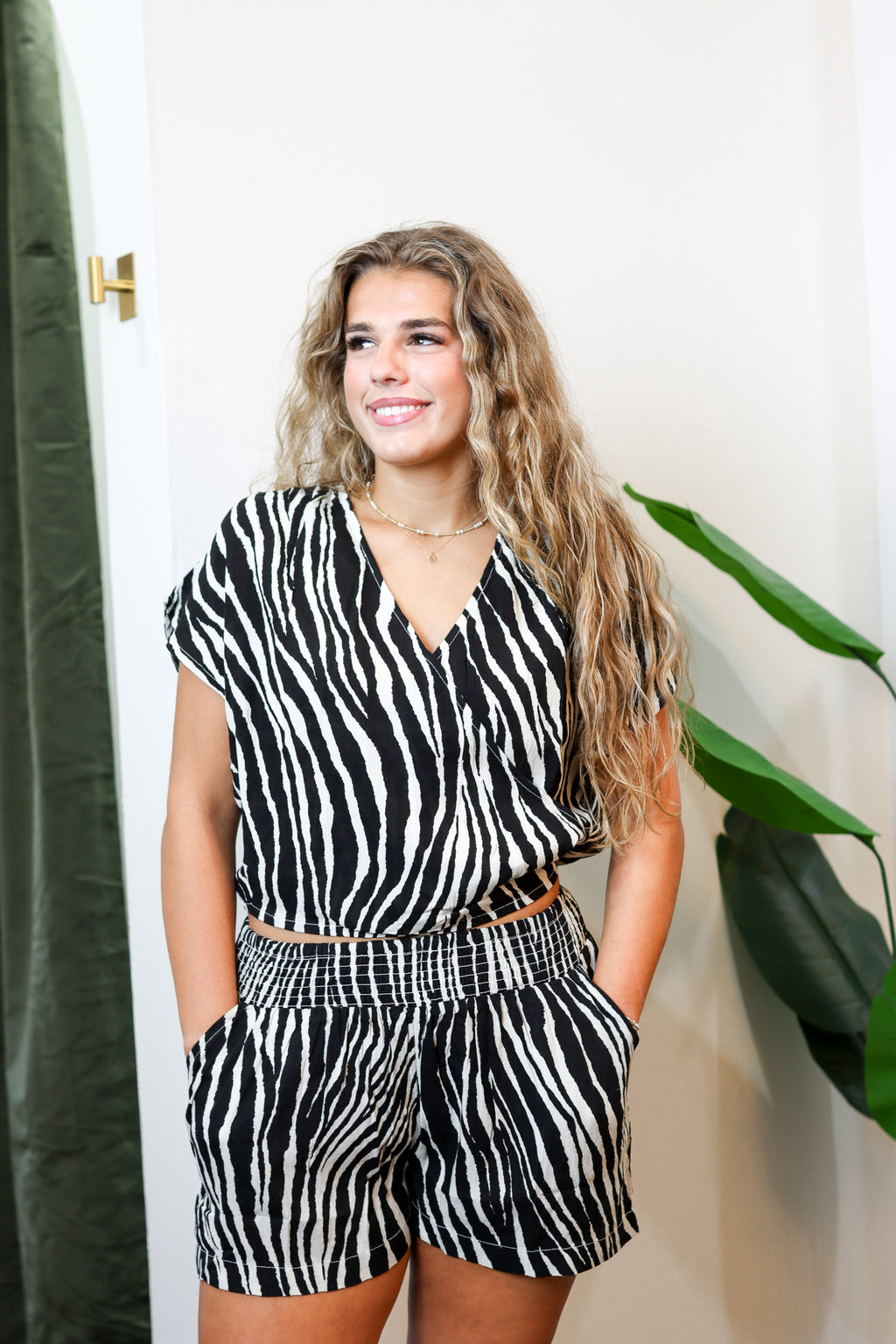 The Zebra Set
