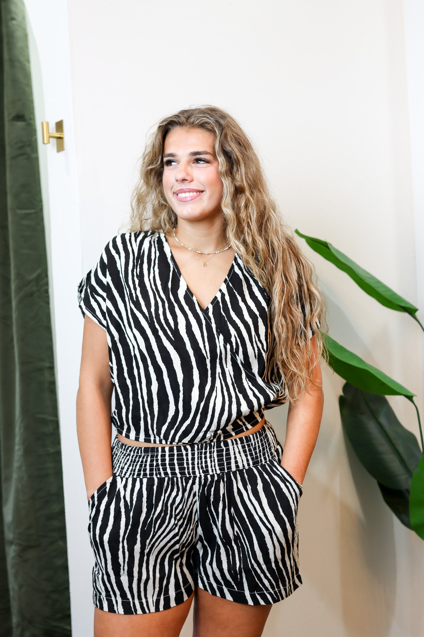 The Zebra Set