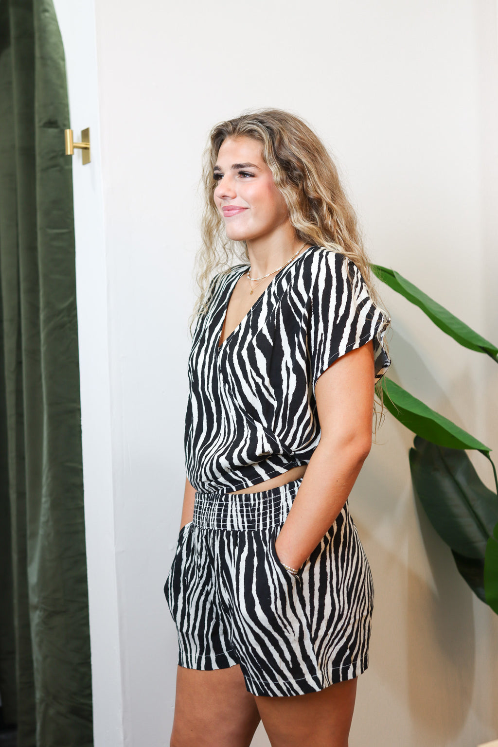 The Zebra Set
